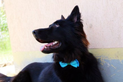 10509711_754981617876283_4281464409834095807_n