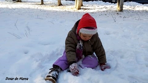 16788039_1423388181035620_1625282582_n