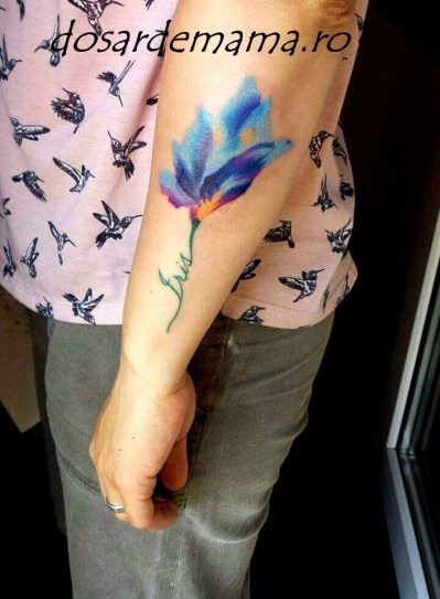 18882115_905121122962384_426957990509386849_n