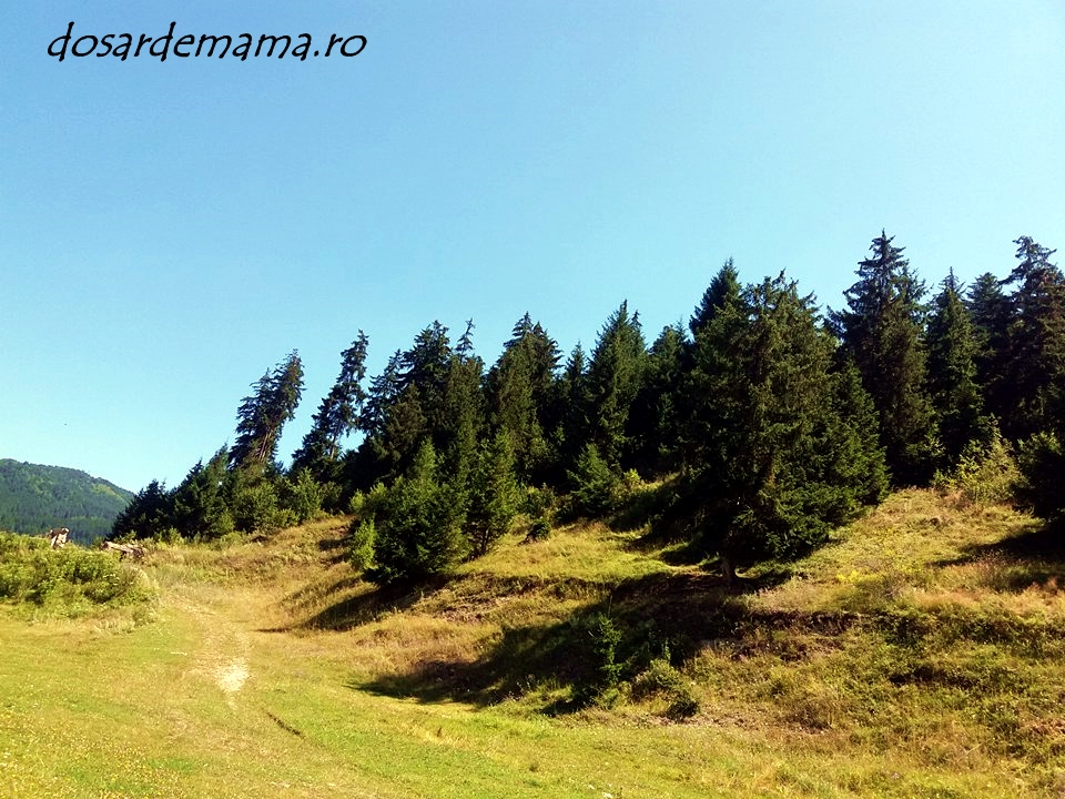 20668325_10155518648439876_845162351_n