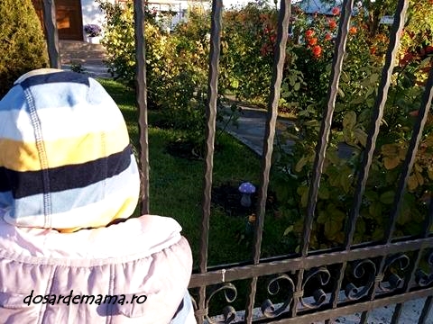 22414621_10155693497039876_1109714541_n