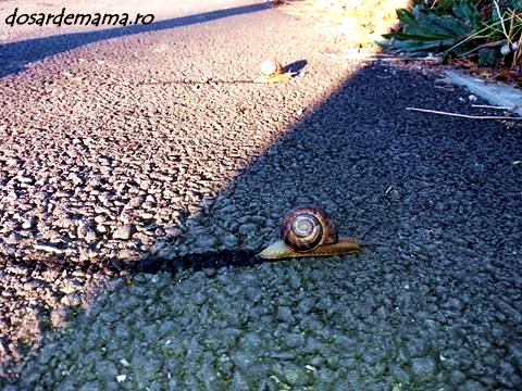 22447289_10155693497294876_1442808946_n