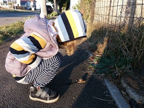 22471604_10155693497244876_1601199659_n