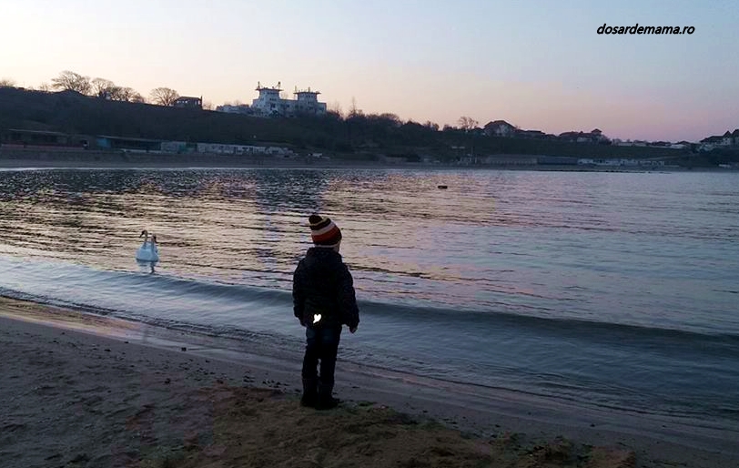 29472529_10156128545509876_8767221083813183488_n